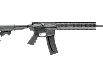 Chiappa Firearms - MFour 22