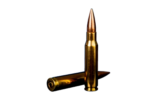STV Technology - Scorpio Rifle — 308 Winchester · 147 Grains · Full Metal Jacket · 20