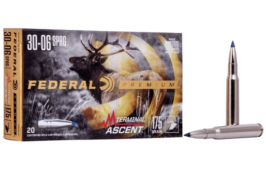 Federal - Terminal Ascent — 30-06 Springfield · 175 Grains · Polymer Tip · 20