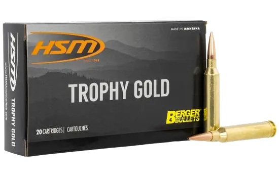 HSM - Trophy Gold — 243 Winchester · 95 Grains · VLD · 20