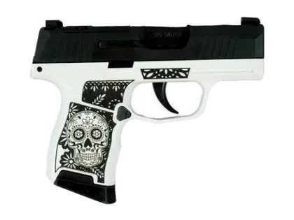 Sig Sauer - P365 Cerakoted