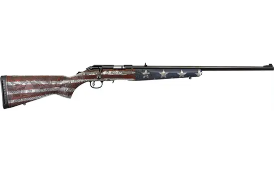 Ruger - American Rimfire — 17 HMR · 9 Round · Black · 22"