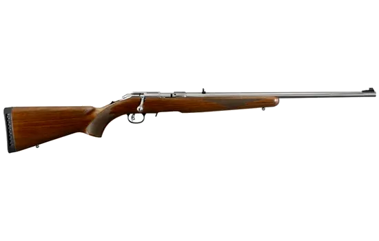 Ruger - American Rimfire — 22 Long Rifle · 10 Round · Stainless · 22"
