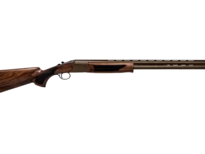 Pointer - Acrius