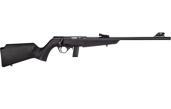 Rossi - RB22 — 22 Long Rifle · 10 Round · Black · 16.5"