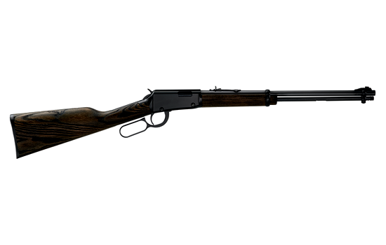 Henry Repeating Arms - H1 Garden Gun — 22 Long Rifle · 12 Round · Black · 18.5"