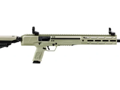Ruger - LC Carbine