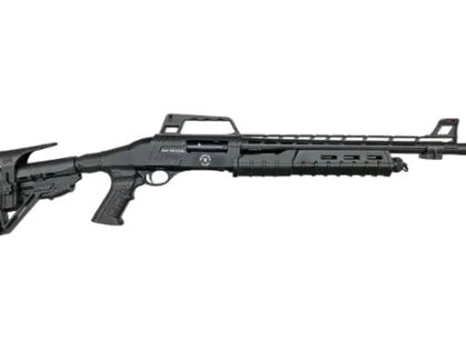 Silver Eagle Arms - RZ17
