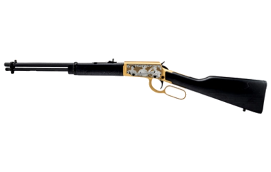 Rossi - Rio Bravo — 22 Long Rifle · 15 Round · Gold · 18"