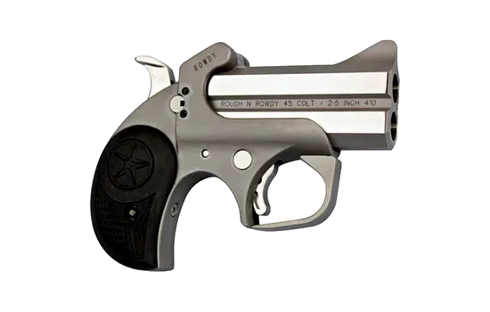 Bond Arms - Rowdy — 45 (Long) Colt · 2 Round · Silver · 3"
