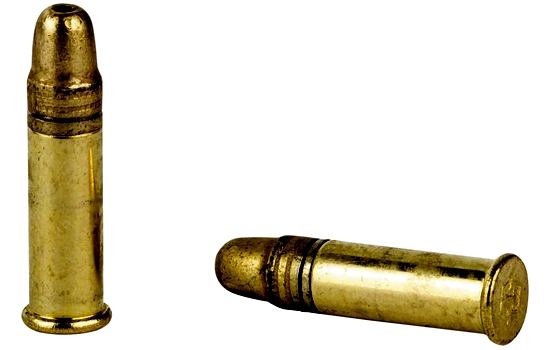 Armscor - Rimfire Ammo — 36 Grains · Hollow Point · 50