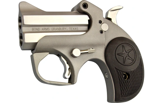Bond Arms - Roughneck — 357 Magnum · 2 Round · Silver · 2.5"